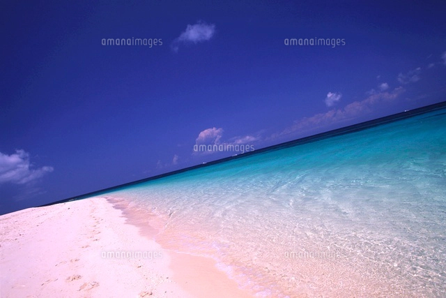 プカシェルビーチの青い空と白い砂[10532000064]の写真・イラスト素材