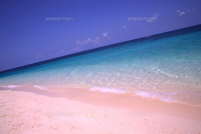 プカシェルビーチの青い空と白い砂[10532000064]の写真・イラスト素材