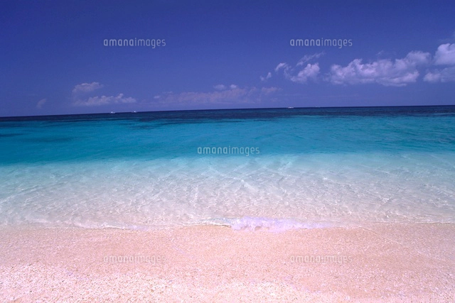 プカシェルビーチの青い空と白い砂[10532000064]の写真・イラスト素材