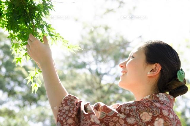 新緑のもみじを触る着物姿の横顔の女性 の写真素材 イラスト素材 アマナイメージズ