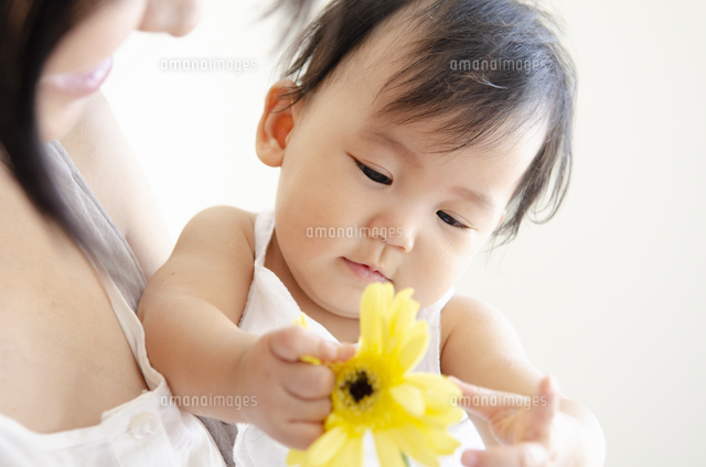 黄色いお花を触っている赤ちゃん の写真素材 イラスト素材 アマナイメージズ