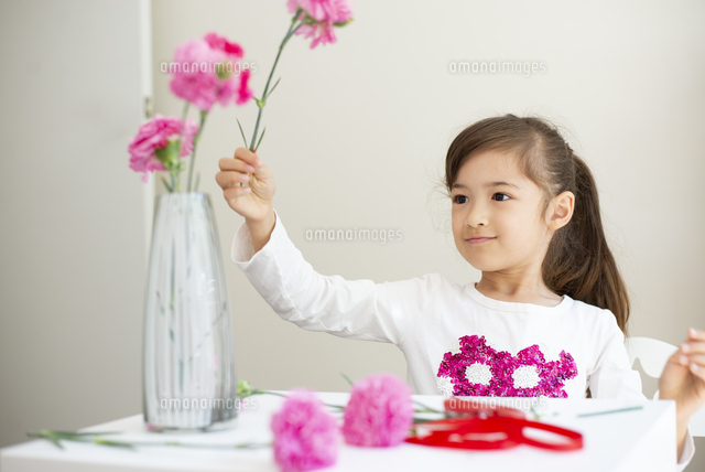 カーネーションを花瓶に生けている女の子 の写真素材 イラスト素材 アマナイメージズ