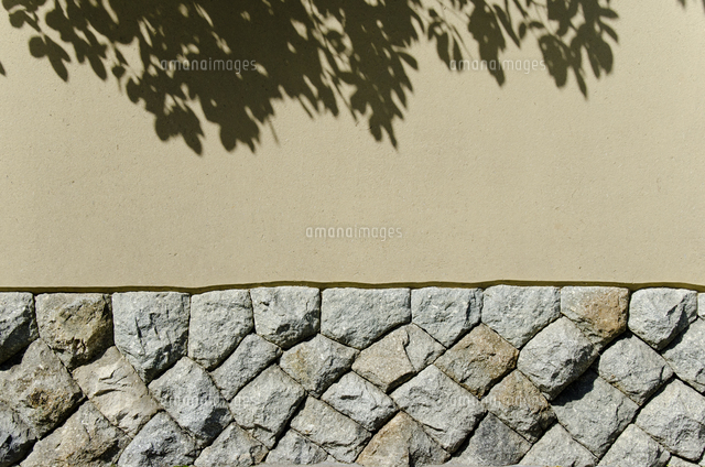 石と塗り壁に映る木の葉の影 の写真素材 イラスト素材 アマナイメージズ