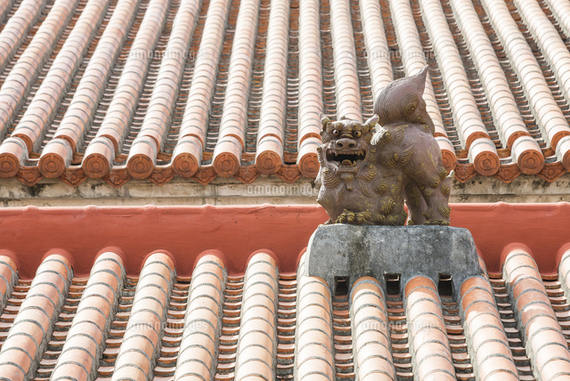 石垣島の赤瓦屋根の上のシーサー[10573002817]の写真・イラスト素材