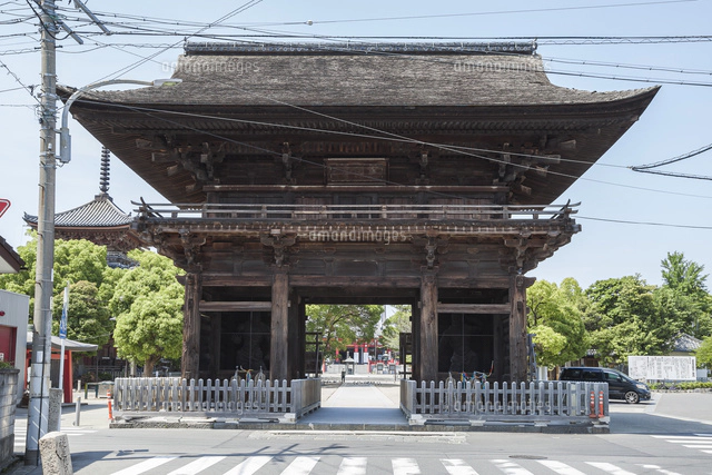 鳳凰山甚目寺（甚目寺観音）の本堂[10573004357]の写真・イラスト素材