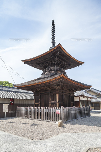 浄海山圓龍院観音寺 荒子観音 の多宝塔 の写真素材 イラスト素材 アマナイメージズ