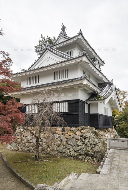 吉田城[10573004869]の写真・イラスト素材｜アマナイメージズ