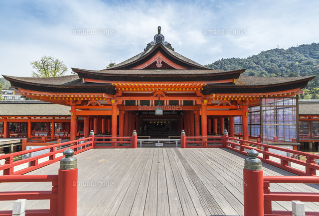 厳島神社高舞台越しに見る本社正面 の写真素材 イラスト素材 アマナイメージズ