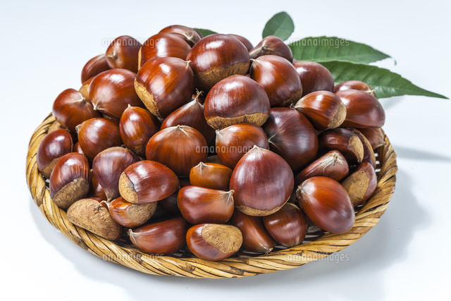 ザルに盛られたクリ沢山 の写真素材 イラスト素材 アマナイメージズ