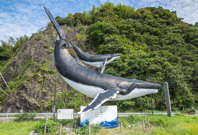 しおかぜ公園の親子のクジラ像[10573005400]の写真・イラスト素材