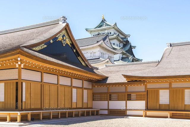 名古屋城の展示金鯱 の写真素材 イラスト素材 アマナイメージズ