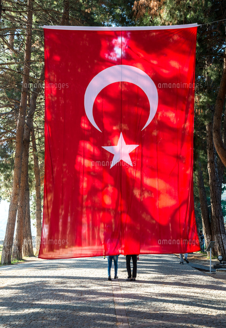 並木道に大きなトルコ国旗 の写真素材 イラスト素材 アマナイメージズ
