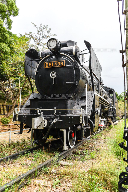 津偕楽公園に屋外展示されたD51蒸気機関車[10573008141]の写真
