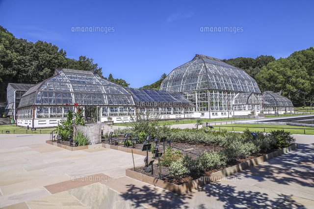 東山植物園洋風庭園から見る温室前館 の写真素材 イラスト素材 アマナイメージズ