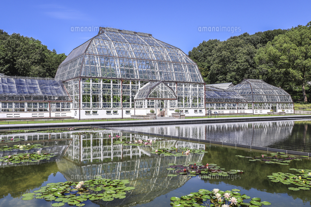 東山植物園スイレンが咲く池越しに見る温室前館 の写真素材 イラスト素材 アマナイメージズ