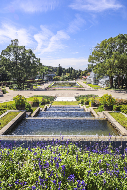 東山植物園園内風景 の写真素材 イラスト素材 アマナイメージズ