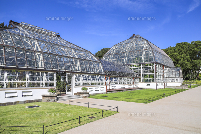 東山植物園洋風庭園から見る温室前館 の写真素材 イラスト素材 アマナイメージズ