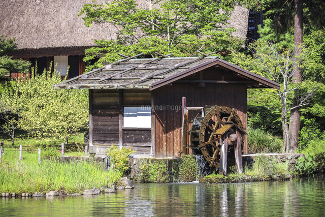 東山植物園奥池水辺に建つ水車小屋[10573009161]の写真・イラスト素材
