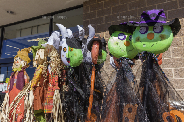 アメリカ マナサス ハロウィーンのコスチューム 10575003207 の写真素材 イラスト素材 アマナイメージズ