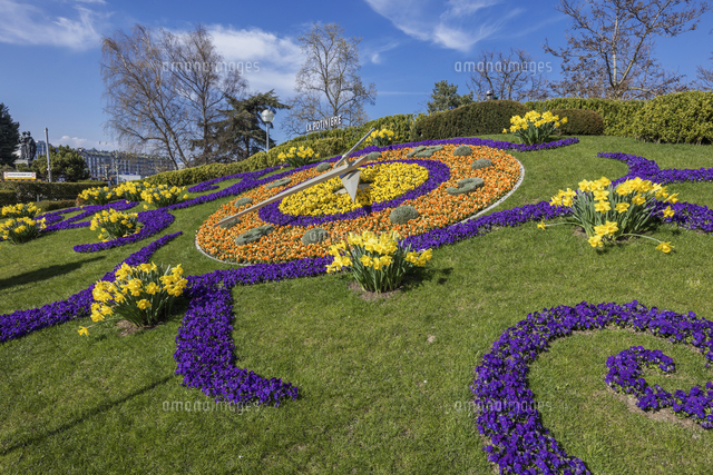 スイス ジュネーブ花時計 の写真素材 イラスト素材 アマナイメージズ