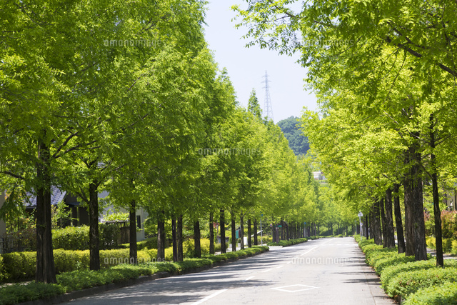 金沢市 太陽が丘 の写真素材 イラスト素材 アマナイメージズ