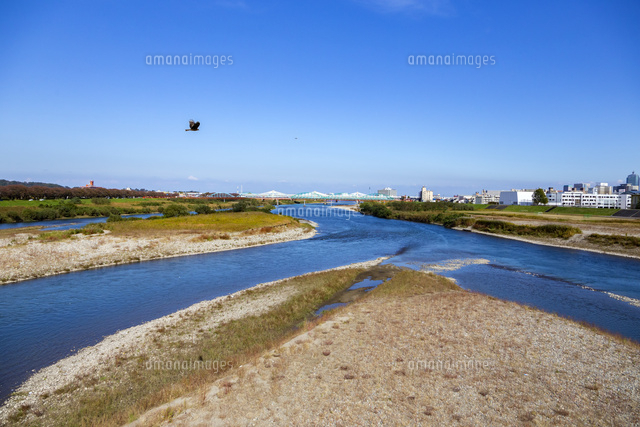 神通川 河川敷と中洲 の写真素材 イラスト素材 アマナイメージズ