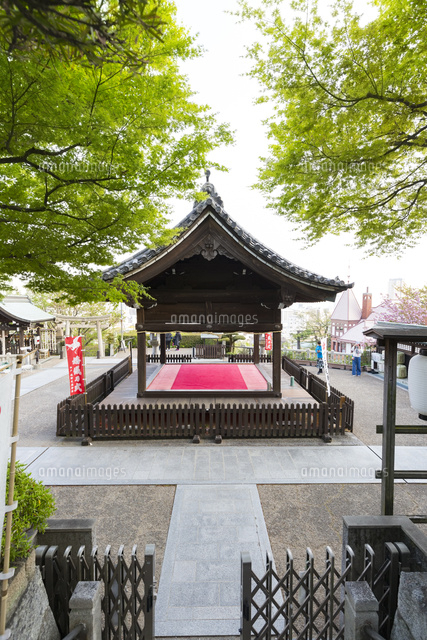 北野天満神社 境内 の写真素材 イラスト素材 アマナイメージズ