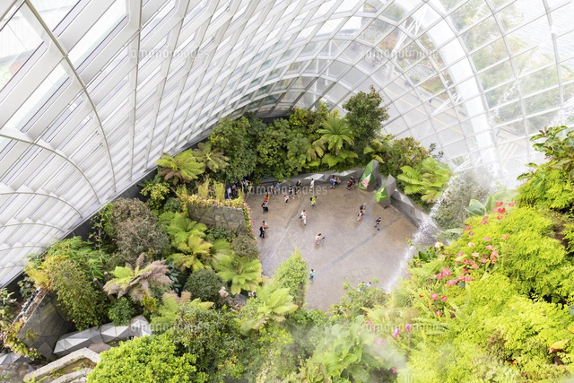 シンガポール動物園の入場ゲート の写真素材 イラスト素材 アマナイメージズ