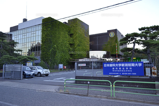 日本歯科大学新潟生命歯学部[10604001396]の写真・イラスト素材