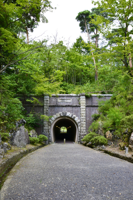 弥彦公園トンネル の写真素材 イラスト素材 アマナイメージズ