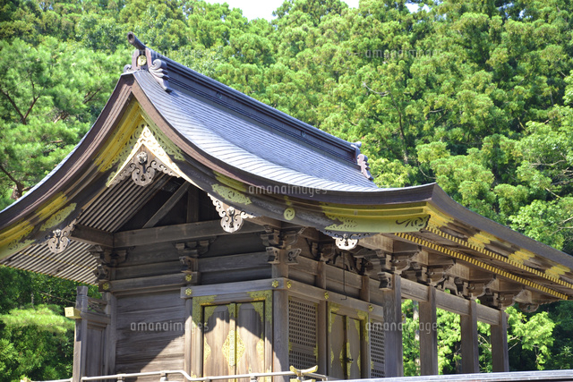 彌彦神社本殿 の写真素材 イラスト素材 アマナイメージズ