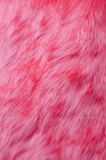 ピンクのファー[10610000404]の写真・イラスト素材｜アマナイメージズ 