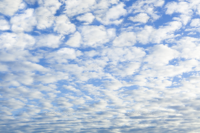 羊雲[10610002807]の写真・イラスト素材｜アマナイメージズ