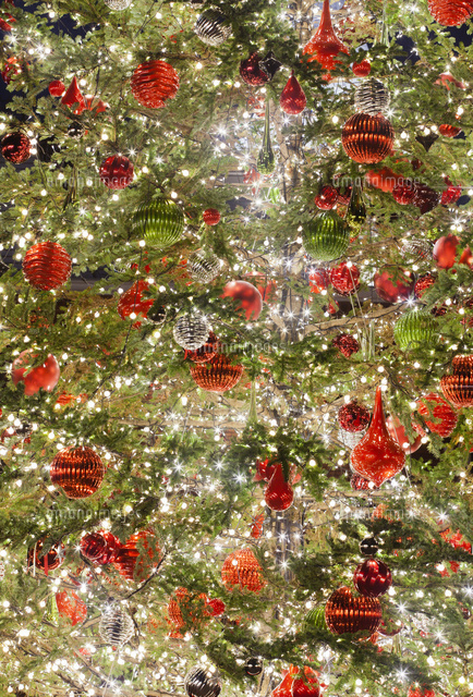 オーナメントで装飾したクリスマスツリー の写真素材 イラスト素材 アマナイメージズ