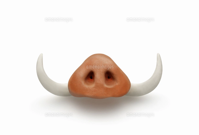 イノシシ亥の顔 イメージ の写真素材 イラスト素材 アマナイメージズ