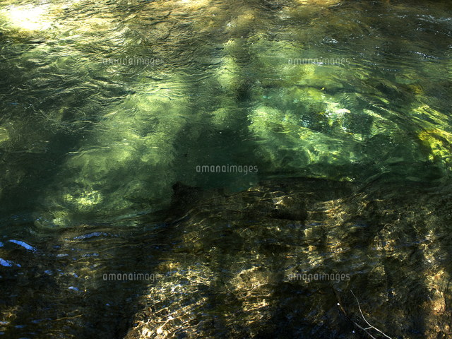 木漏れ日の差し込む水面 の写真素材 イラスト素材 アマナイメージズ