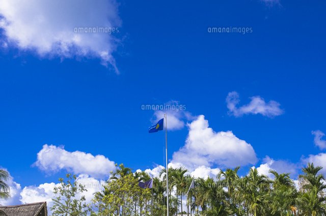 パラオ国旗 の写真素材 イラスト素材 アマナイメージズ