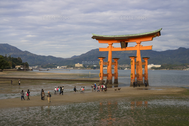 安芸の宮島 厳島神社大鳥居 の写真素材 イラスト素材 アマナイメージズ