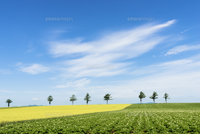 大空町のメルヘンの丘 の写真素材 イラスト素材 アマナイメージズ