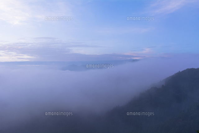 国見ケ丘の雲海 の写真素材 イラスト素材 アマナイメージズ