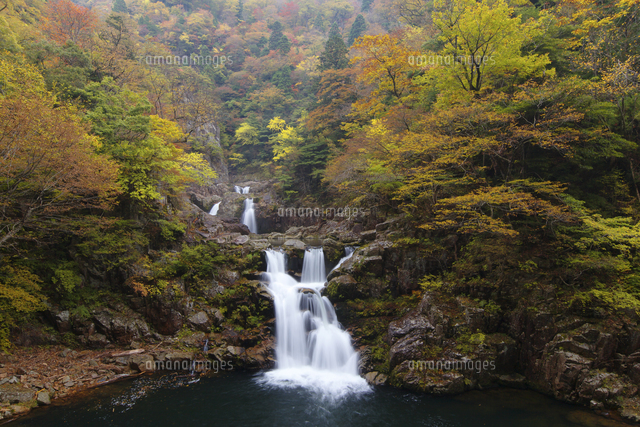 紅葉の三段峡の三段滝 の写真素材 イラスト素材 アマナイメージズ