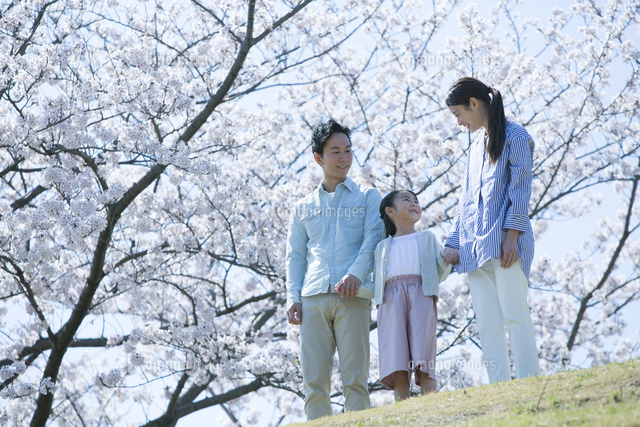 桜の木の下に立つ幸せな家族 の写真素材 イラスト素材 アマナイメージズ