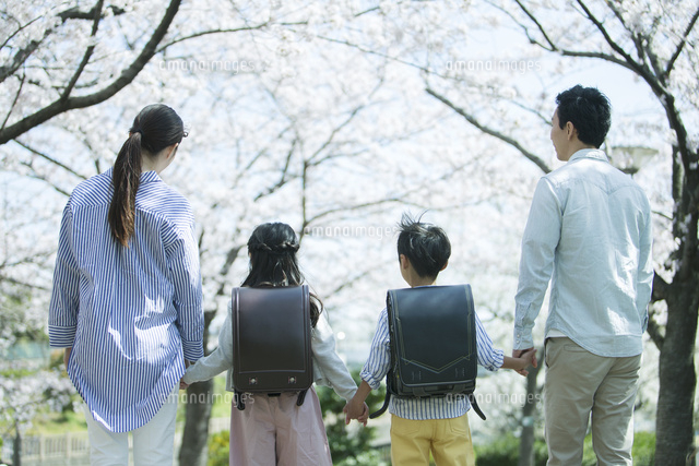 手をつなぎ桜の木の下を歩く幸せな家族の後ろ姿 の写真素材 イラスト素材 アマナイメージズ