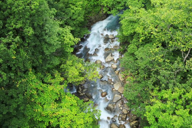 岩手県 八幡平 新緑の松川渓谷 の写真素材 イラスト素材 アマナイメージズ
