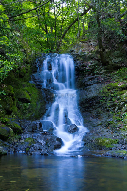 赤い滝　緑の滝　青い滝 新緑の赤目四十八滝[10630008438]の写真・イラスト素材｜アマナ
