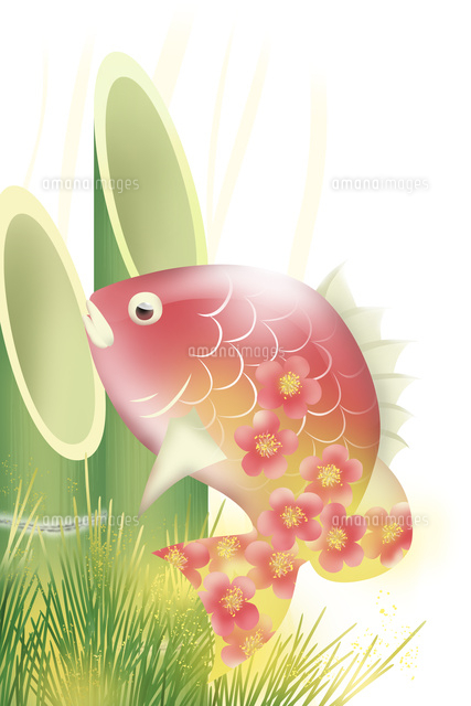 門松と鯛 の写真素材 イラスト素材 アマナイメージズ