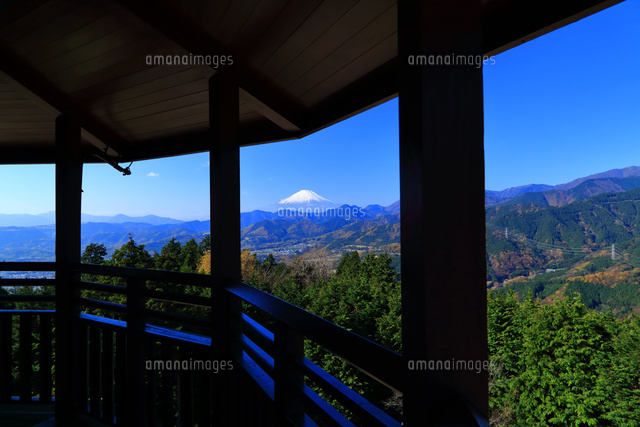 神奈川県 菜の花台から望む富士山 の写真素材 イラスト素材 アマナイメージズ