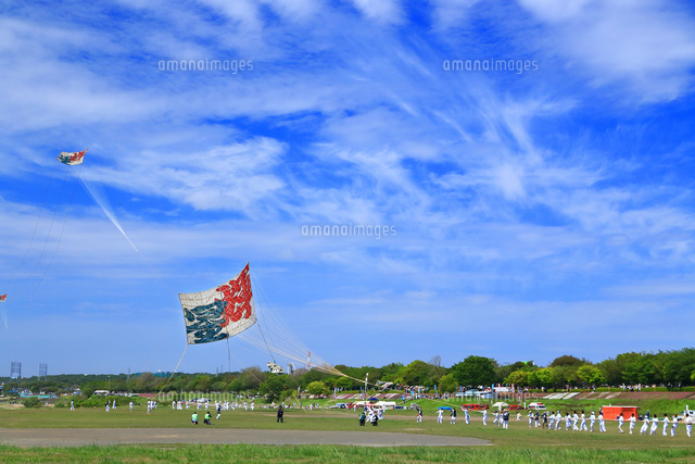 相模の大凧まつり の写真素材 イラスト素材 アマナイメージズ 相模の大凧まつり の写真素材 イラスト素材 アマナイメージズ