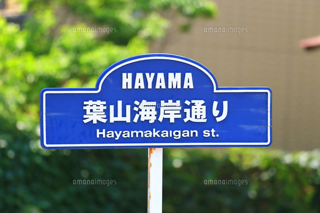 神奈川県道7号森戸海岸線の写真素材 ストックフォト アマナイメージズ 神奈川県道7号森戸海岸線の写真素材 ストックフォト アマナイメージズ