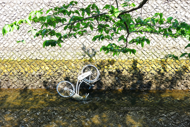 捨てられた自転車 の写真素材 イラスト素材 アマナイメージズ